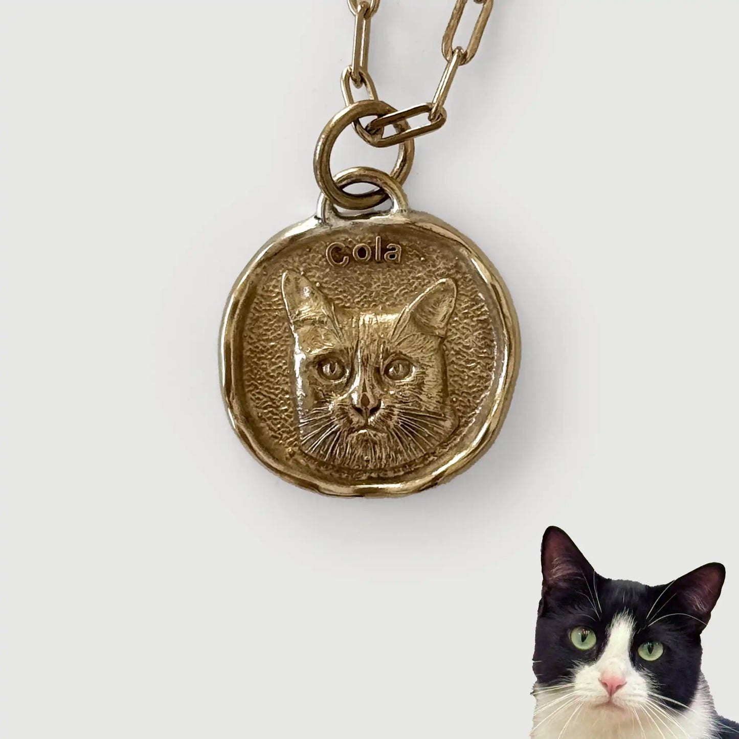 Gold pendant with a cat's face engraving and a real cat below on a white background