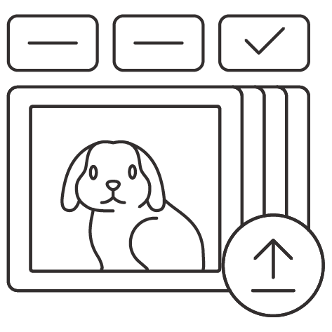 Icon of a pet photo being uploaded with style options above it, representing the photo and customization selection stage.